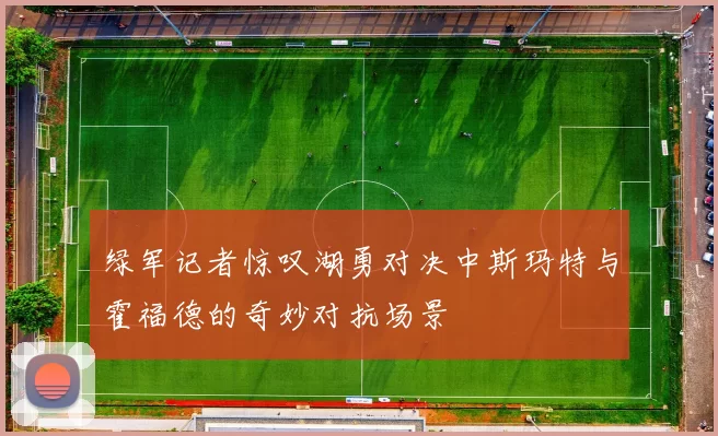 绿军记者惊叹湖勇对决中斯玛特与霍福德的奇妙对抗场景