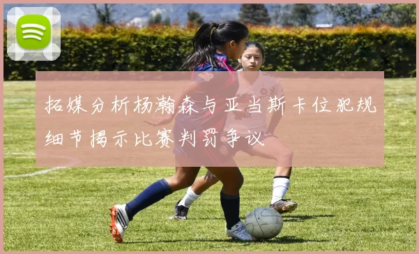 拓媒分析杨瀚森与亚当斯卡位犯规细节揭示比赛判罚争议