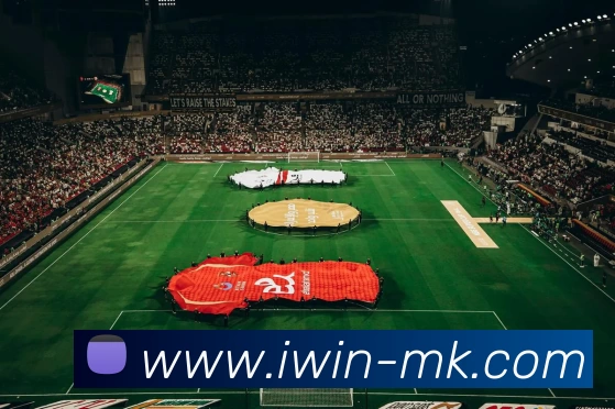 MK体育APP 封面图